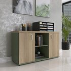 Armário Baixo Com Nicho 2 Portas Pivotante Credenza Salvia/no