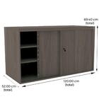Armário Baixo Credenza Pe50 Pandin 120 Cm (largura) Em Mdp Co