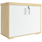 Armário Balcão Multiuso Para Escritório 2 Portas Atria Execut