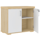 Armário Balcão Multiuso Para Escritório 2 Portas Atria Execut