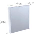 Armário Banheiro Espelheira Sobrepor E Embutir Branco 30,1x9,