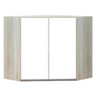 Armário Canto Diagonal Luciane 2 Portas Luci