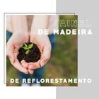 Armário Cozinha 2 Portas Madeira Clara Carraro