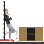 Armário Credenza 2 Portas Pivotante P25 Samba