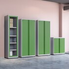 Armário De Aço 192x80x40 Pandin Ap409sl - Cinza/verde