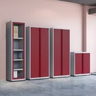 Armário De Aço 192x80x40 Pandin Ap409sl - Cinza/vermelho