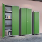 Armário De Aço 200x118x40 Pandin Ap403m - Cinza/verde