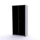 Armário De Aço 2 Portas 162x75x40 Pandin Ap408sl - Cinza/preto