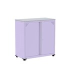 Armário De Aço 2 Portas 4 Prateleiras Com Chave Ap406sl Lilás