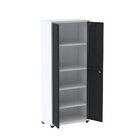 Armário De Aço 2 Portas 4 Prateleiras Com Chave Ap409sl Branc