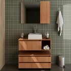 Armário De Banheiro Com Cuba 1 Porta 2 Gavetas Amêndoa Bn3616