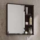 Armário De Banheiro Treviso Com Espelho 1 Pt Café