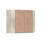 Armário De Canto Diagonal Luciane 2 Portas Lis