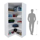 Armário De Canto Prateleiras 1x1 M112.2021.b (loja, Closet)