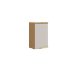 Armário De Cozinha 1 Porta 40cm 100% Mdf Dobradiças Slow Moti