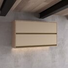 Armário De Cozinha Aéreo 120cm 2 Portas New Atena Salmão/nude