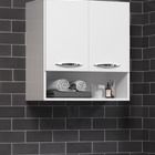 Armario De Cozinha Aéreo 60cm 2 Portas Organizados