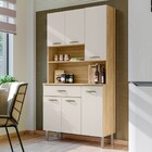 Armário De Cozinha Apolo 6 Portas 1 Gaveta Freijó/soft - Kits