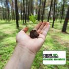 Armário De Cozinha Modulado De Canto Esquerdo 5 Peças Cp52 Ba