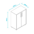 Armário Em Mdp Com 2 Portas E 2 Prateleiras Brv Móveis