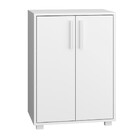 Armário Em Mdp Com 2 Portas E 2 Prateleiras Brv Móveis