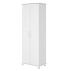 Armário Em Mdp Com 2 Portas E 9 Prateleiras Brv Móveis