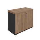 Armário Executivo Para Escritório Baixo 2 Portas Com Chave Ta