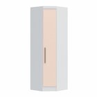 Armário Guarda Roupa De Canto Oblíquo 1 Porta Infinity  Branc