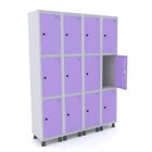 Armario Locker Roupeiro 12 Portas Em Aço Grp 504/12 Pandin Mó