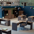 Armário Misto 2 Portas Pandin Pe40 - Walnut