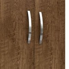 Armário Multiuso 2 Portas Bistrol - Malbec - Édecasamóveis