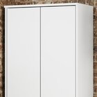 Armário Multiuso 2 Portas Branco