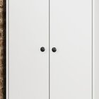 Armário Multiuso 2 Portas Branco