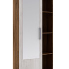 Armário Multiuso Com 1 Porta 28mu1004 - Rodial - Cacau / Blanc