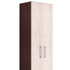 Armário Multiuso Com 2 Portas Luca A03 - Doce Sonho Móveis -