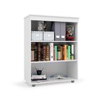 Armário Multiuso Escritório 2 Portas 2 Prateleiras Advantage