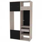 Armário Multiuso Nepal 1 Porta 1 Gaveta Duplo Cinza Ff/preto