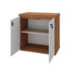 Armário Multiuso Para Escritório Baixo Com Chave 2 Portas Y37