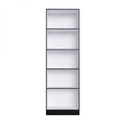 Armário Multiuso Sapateira 2 Portas Xangai  Brunne