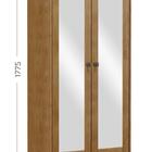 Armario Organizador 2 Portas C/espelho Prata Freijo 2802f - F