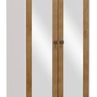 Armário Organizador 2 Portas Prata Com Espelho - Off White/fr