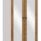 Armário Organizador 2 Portas Prata Com Espelho - Off White/fr