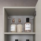 Armário Organizador Com 2 Prateleiras E Porta Com Espelho Are