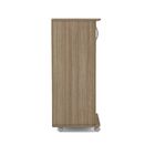 Armário Organizador E Sapateira Limeira C/ 5 Prateleiras E Es