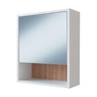 Armário Para Banheiro 1 Porta Com Espelho B85 Novam