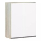 Armário Para Cozinha 60 Cm 2 Portas Lis Luciane Móveis - Legn