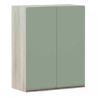 Armário Para Cozinha 60 Cm 2 Portas Luci Luciane Móveis - Leg