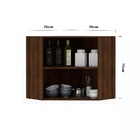 Armário Para Cozinha Canto Diagonal 2 Portas Safira Luciane M