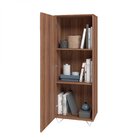 Armário Para Escritório 1 Porta 2 Prateleiras Brv Móveis Cast