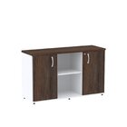 Armário Para Escritório 2 Portas 3 Prateleiras Pivot